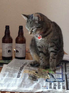 Grandkitty Tigger with the ale bottles from The Mole Inn